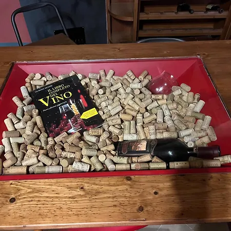 Bed And Wine * Papiano